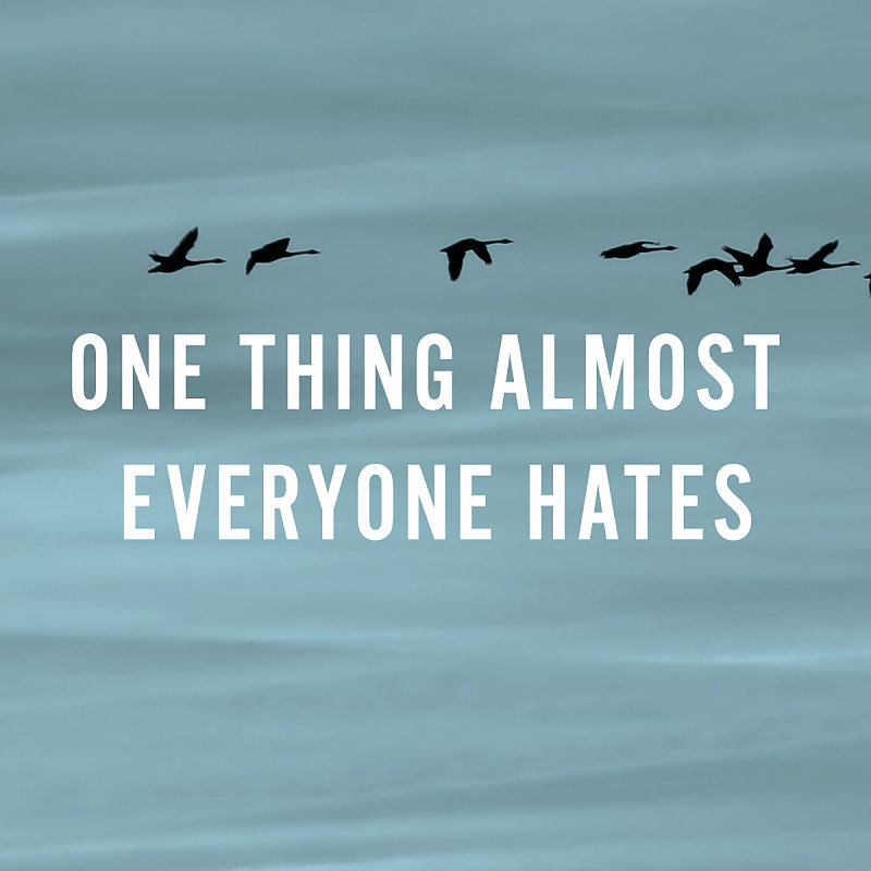 One Thing Almost Everyone Hates · The A Group